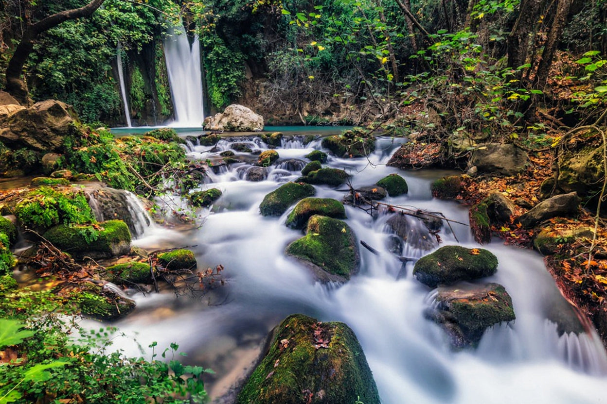 Nature of Israel