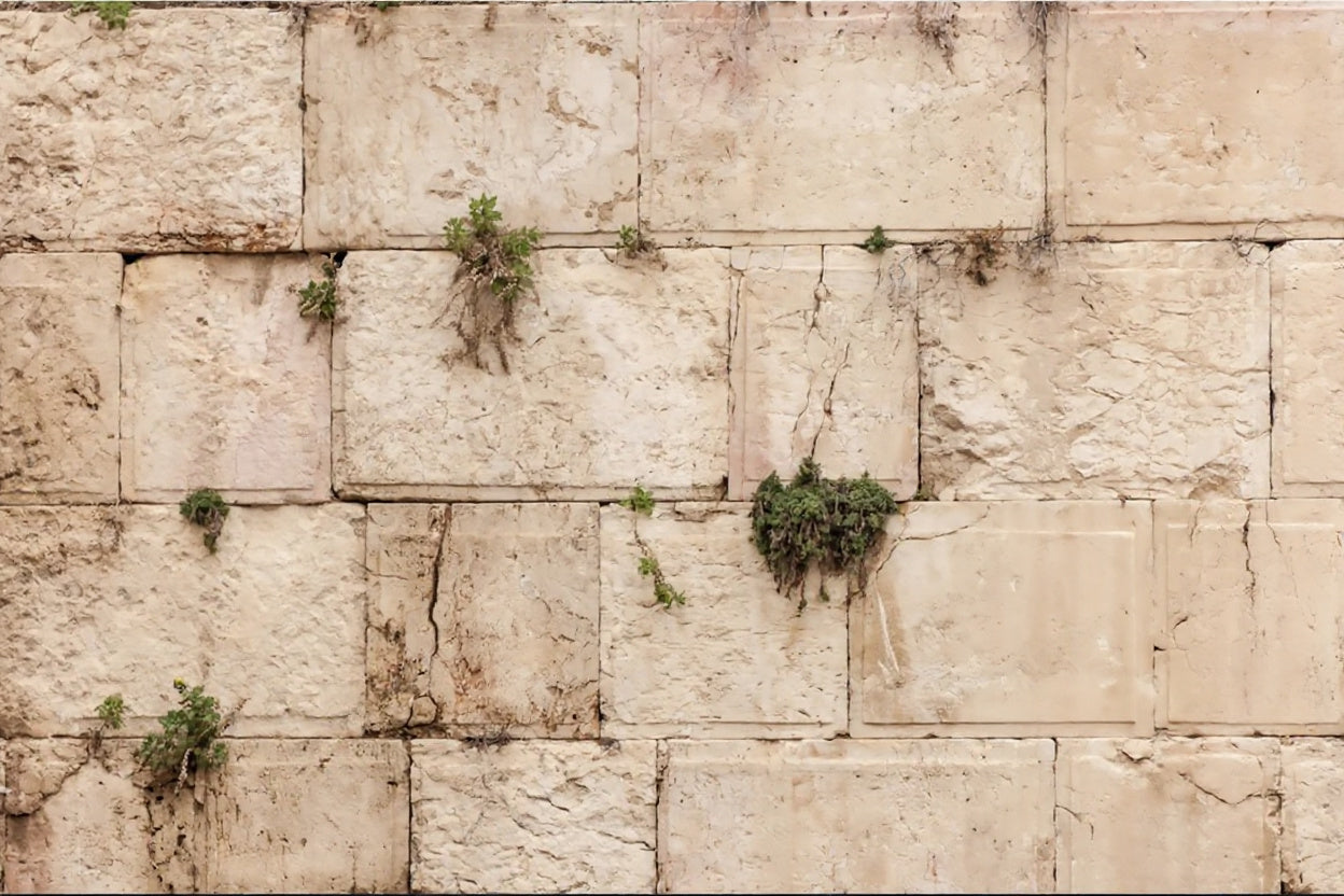 Kosel - Western Wall