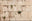 Kosel - Western Wall