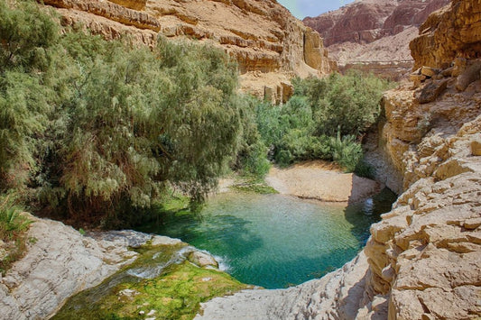 Ein Gedi Creek View Sukkah Mural