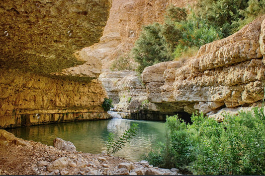 Ein Gedi Creek Bank Sukkah Mural